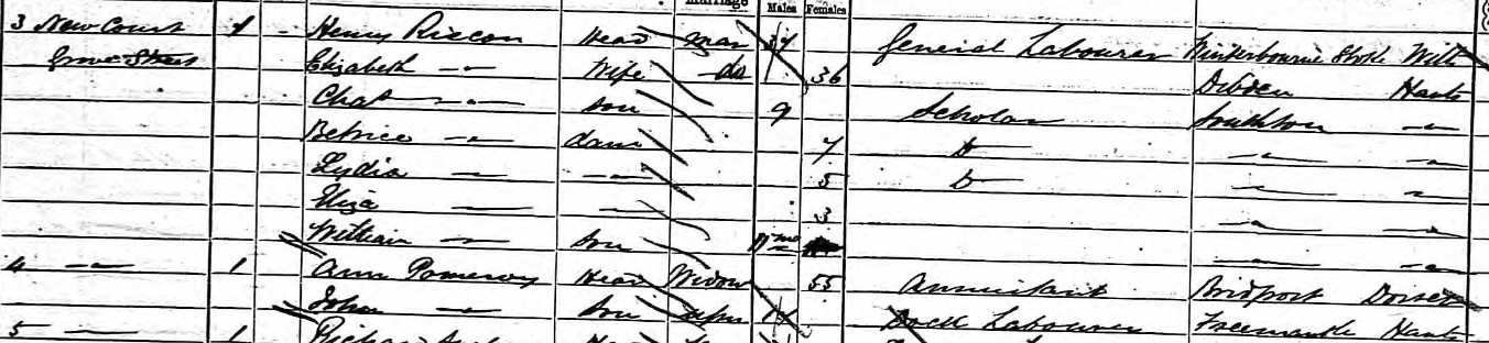 Census 1881 89 Grove Street Ann Pomeroy