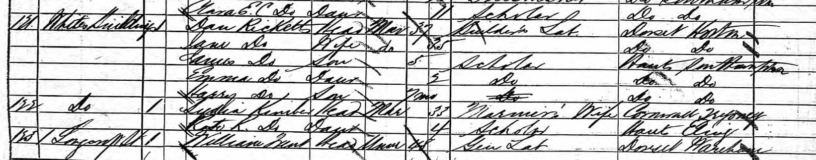 Census 1881 Dan Ricketts