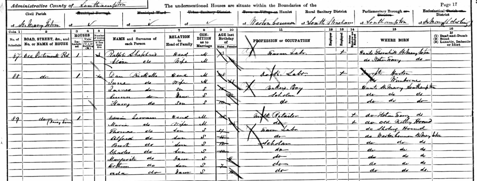 Census 1891 Dan Ricketts