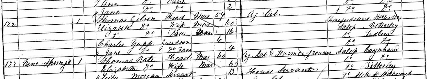Census 1861 Thomas Gilson