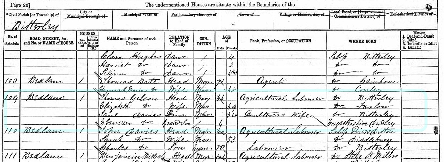 Census 1871 Thomas Gilson