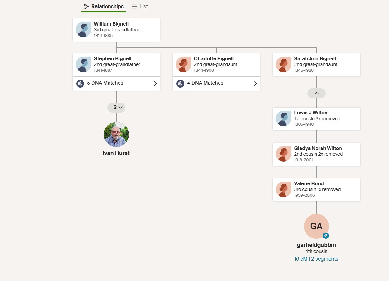 DNA path William Bignell 0