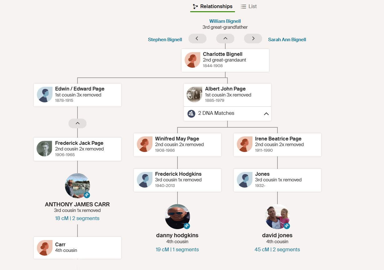 DNA path William Bignell A