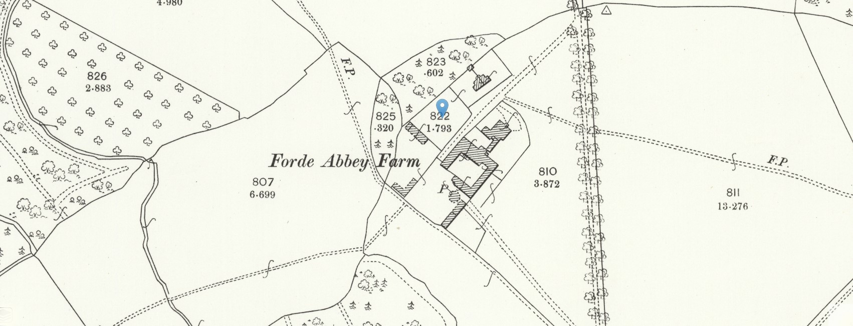 OS 25 Map Thorncombe Forde Abbey Farm