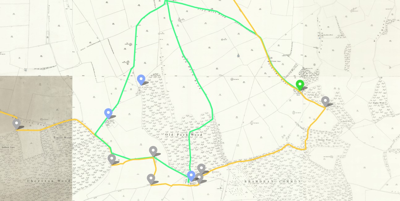 OS 25 Old Map Bishops Sutton Parish Boundary Hampshire D
