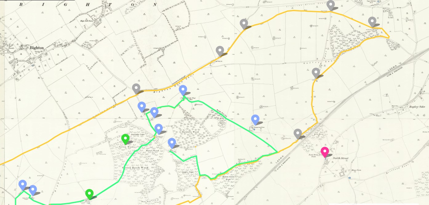 OS 25 Old Map Bishops Sutton Parish Boundary Hampshire F