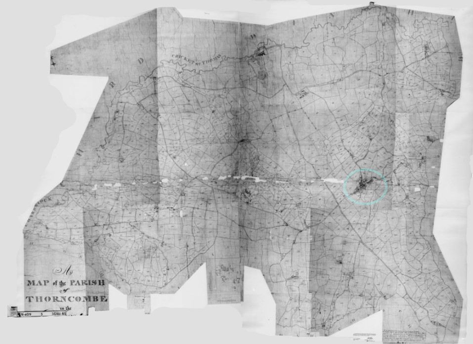 Tithe Map Parish of Thorncombe