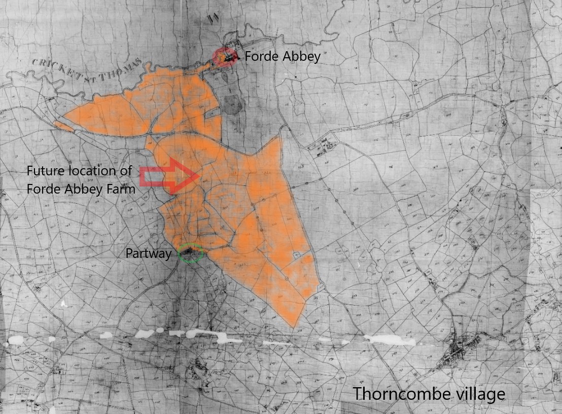 Tithe Map Thorncombe OC James Aplin Forde Abbey Farm