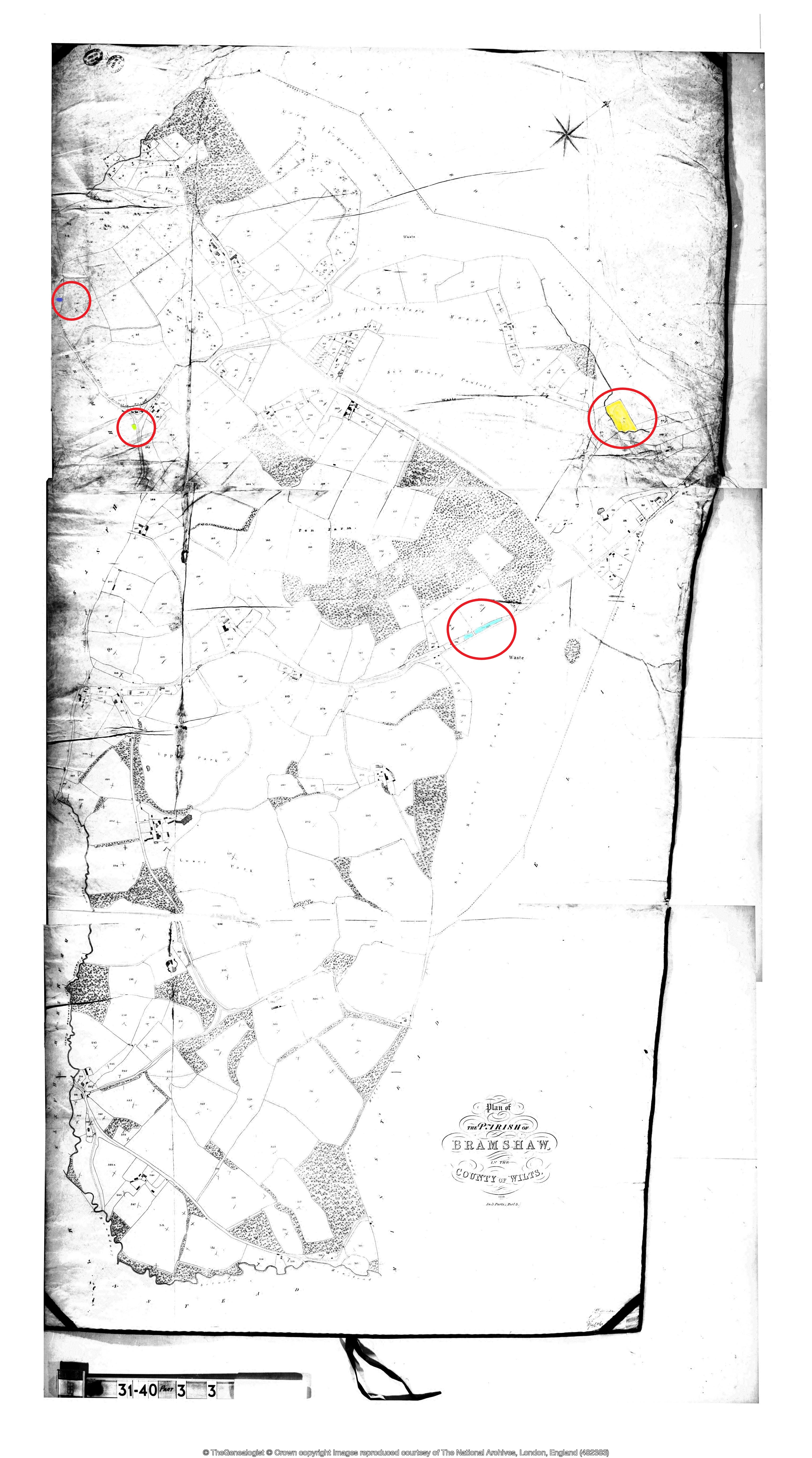 31Hampshire 040Bramshaw 003 BWTNA Biddlecombe