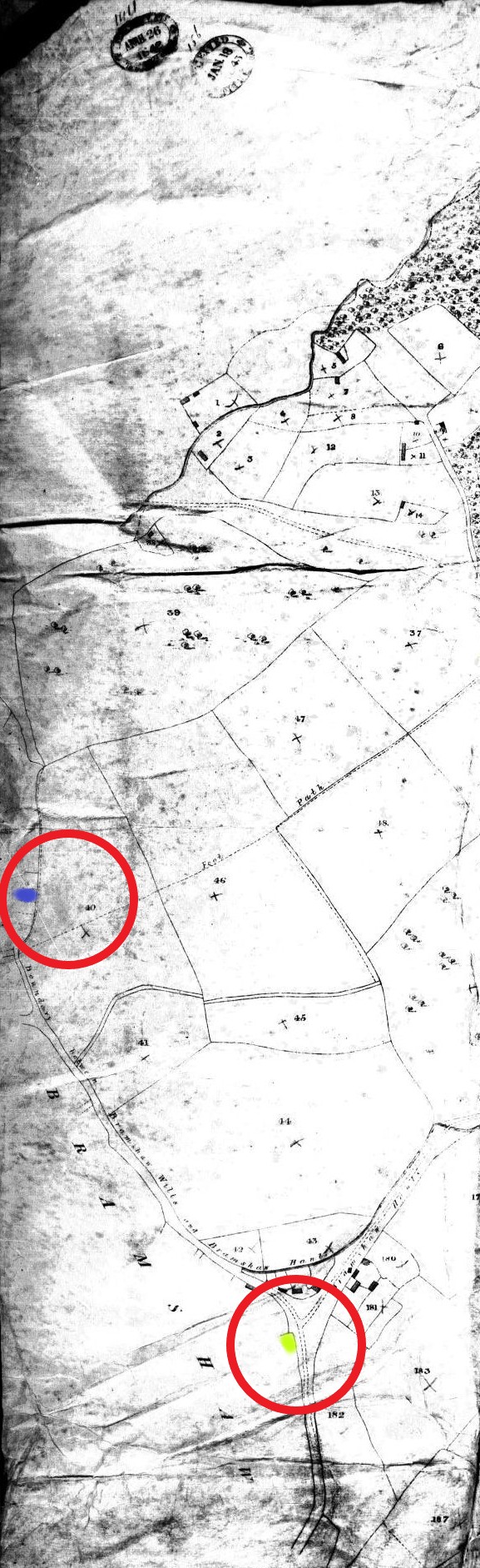 31Hampshire 040Bramshaw 003 BWTNA Biddlecombe Dewsbury and Daniel