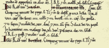 Domesday Book Shirley extract