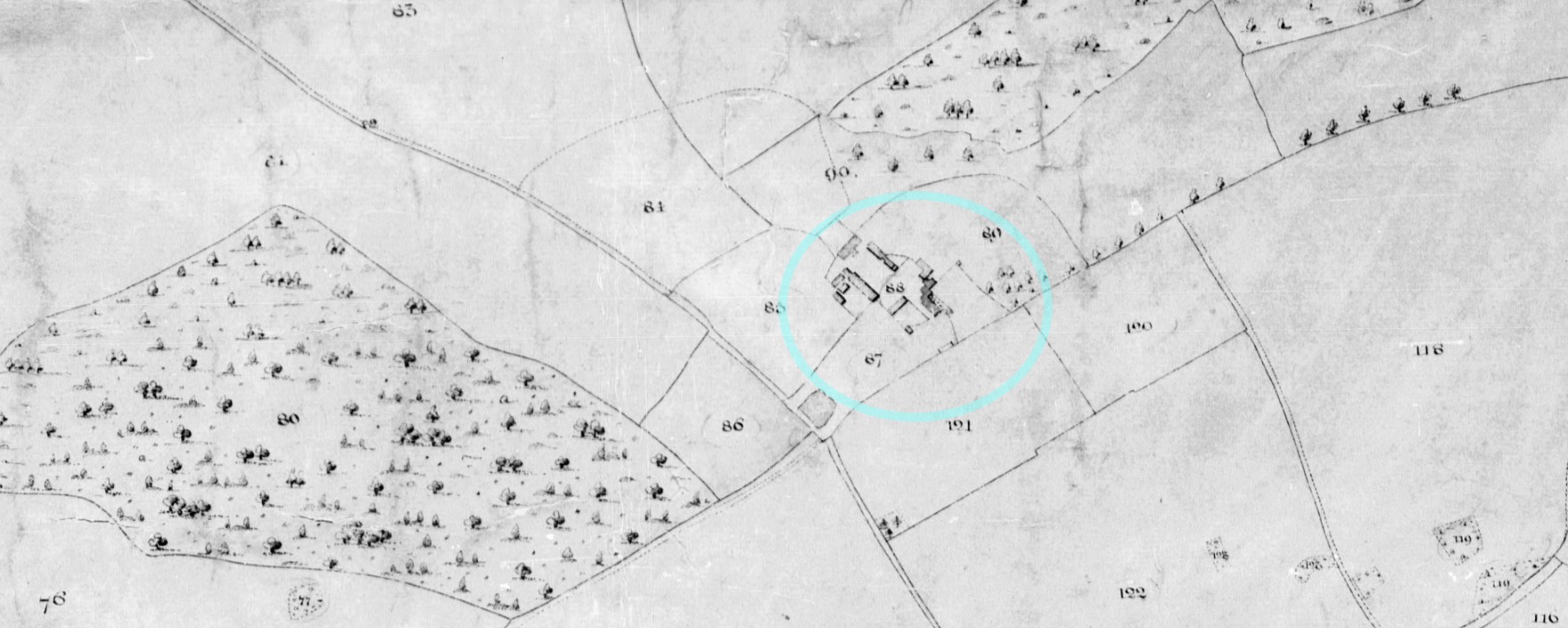 Tithe Map Preston Candover D